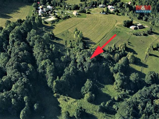 Prodej trvalého travního porostu, Koberovy, 6562 m2