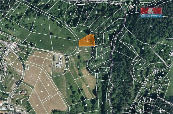 Prodej lesa, Koberovy, 2693 m2