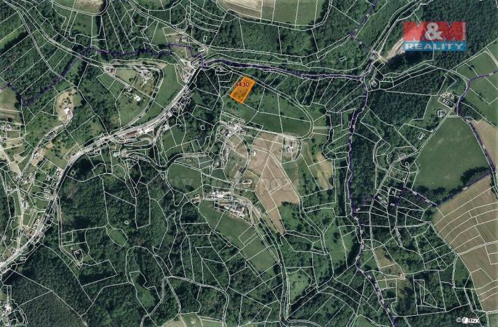 Prodej trvalého travního porostu, Koberovy, 2213 m2