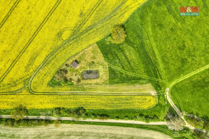 Prodej zemědělské půdy, Ostrov u Bezdružic - Pláň, 6672 m2