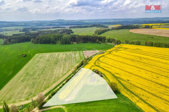 Prodej zemědělské půdy, Ostrov u Bezdružic - Pláň, 6672 m2