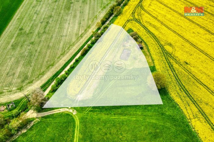 Prodej zemědělské půdy, Ostrov u Bezdružic - Pláň, 6672 m2