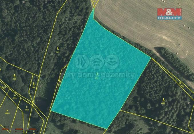 Prodej lesa, Horní Studénky, 78705 m2