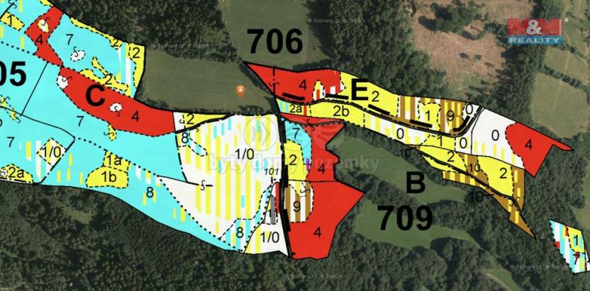 Prodej lesa, Bratrušov, 19245 m2