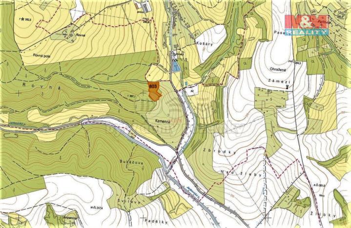 Prodej trvalého travního porostu, Jankovice, 4420 m2