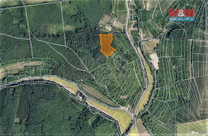 Prodej trvalého travního porostu, Jankovice, 4420 m2