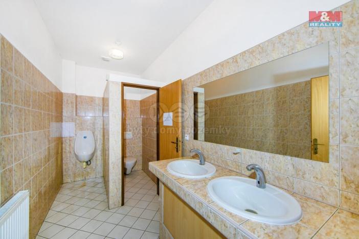 Prodej obchodního prostoru, Město Touškov, Čemínská, 914 m2