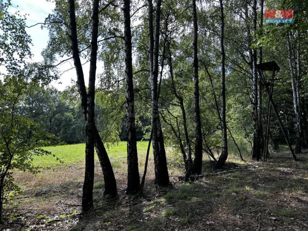 Prodej louky, Petrovice u Karviné - Prstná, 7691 m2