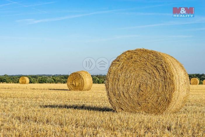 Prodej pole, Líně, 52753 m2