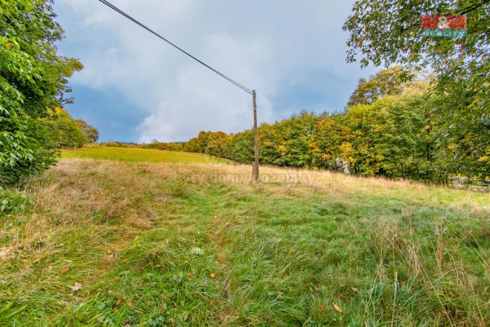 Prodej pozemku pro bydlení, Kraslice, 1078 m2