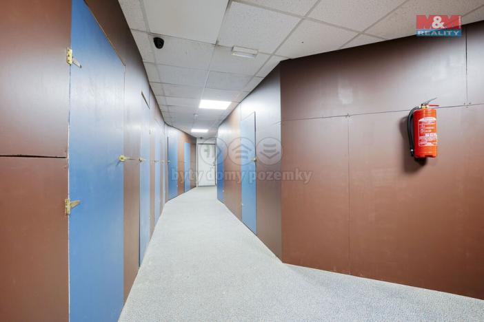 Pronájem skladu, Plzeň - Východní Předměstí, Americká, 8 m2