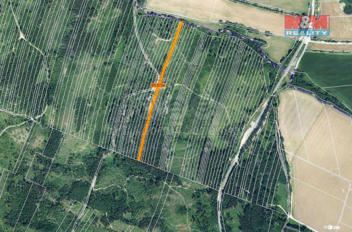 Prodej lesa, Nová Hradečná, 5346 m2