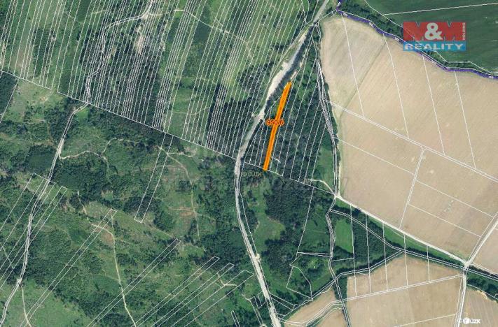 Prodej lesa, Nová Hradečná, 5346 m2