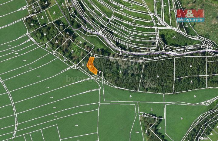 Prodej lesa, Malá Roudka, 9123 m2