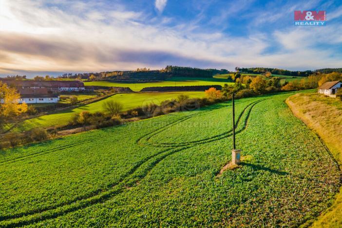 Prodej trvalého travního porostu, Mladotice, 3850 m2