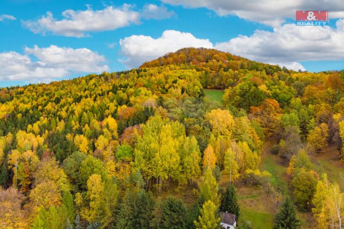 Prodej lesa, Skalice u České Lípy, 3004 m2