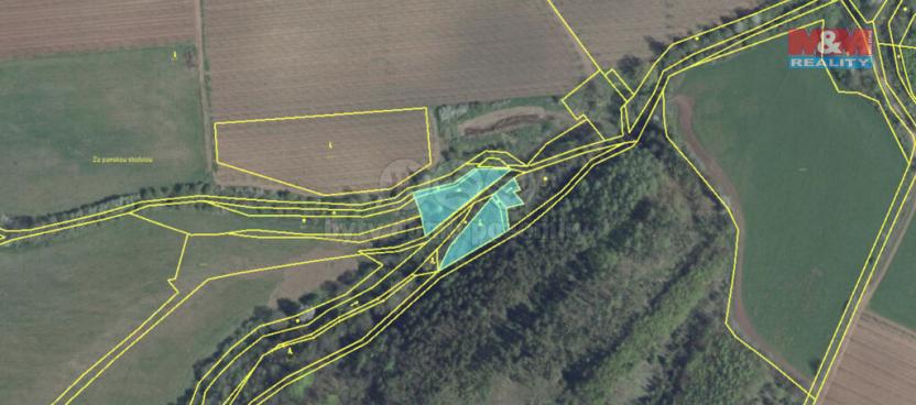 Prodej lesa, Tuchořice, 2921 m2