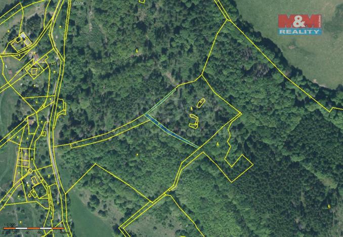 Prodej pozemku, Město Albrechtice, 5528 m2