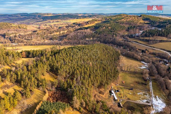 Prodej lesa, Malenice, 13448 m2