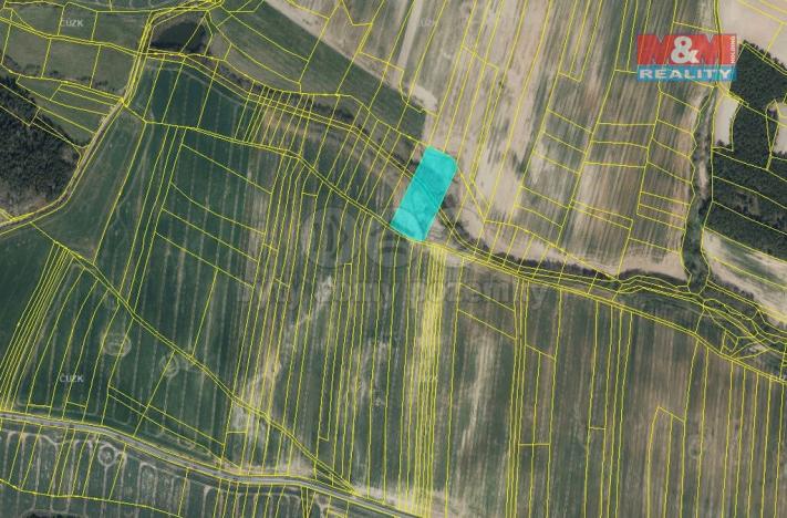 Prodej trvalého travního porostu, Mladotice, 3253 m2