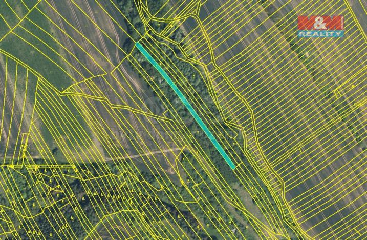 Prodej trvalého travního porostu, Jalubí, 1189 m2