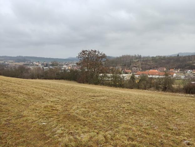 Prodej trvalého travního porostu, Letovice, 34048 m2