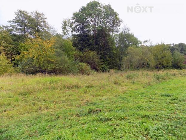 Prodej pozemku, Skalice u České Lípy, 4175 m2