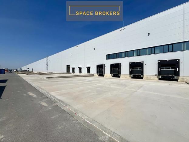 Pronájem skladu, Kozomín, 5000 m2