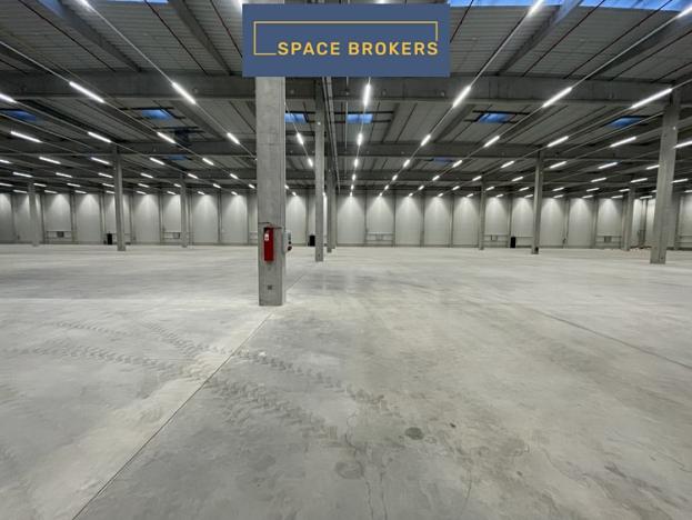 Pronájem skladu, Pardubice, 14000 m2