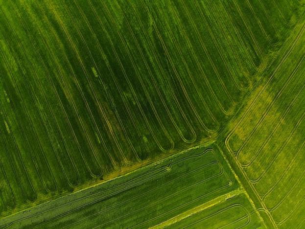 Prodej zemědělské půdy, Červený Újezd, 4424 m2