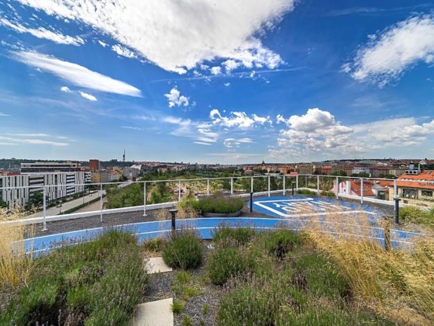 Pronájem kanceláře, Praha - Holešovice, Plynární, 620 m2