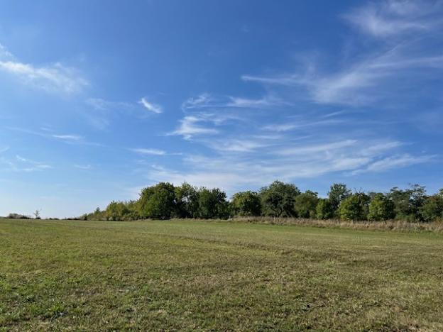 Prodej zemědělské usedlosti, Hvozd, 80 m2