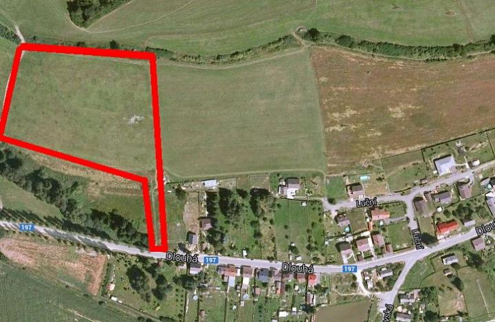 Prodej trvalého travního porostu, Bělá nad Radbuzou, 23629 m2