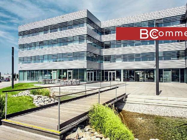 Pronájem výrobních prostor, Brno, 5240 m2