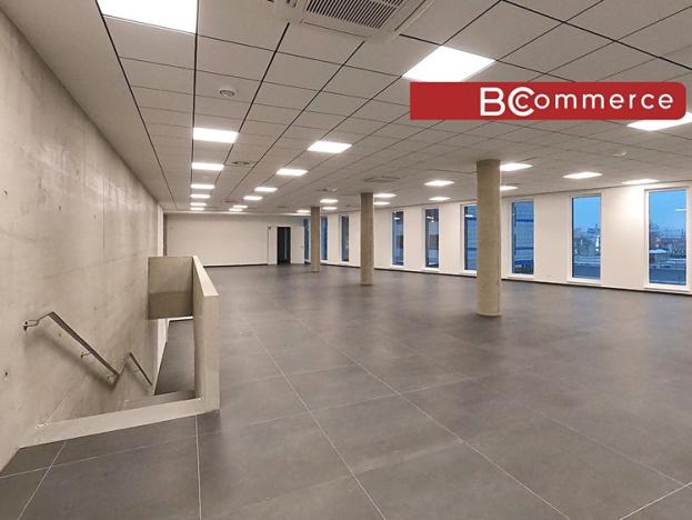 Pronájem obchodního prostoru, Brno, Polní, 460 m2