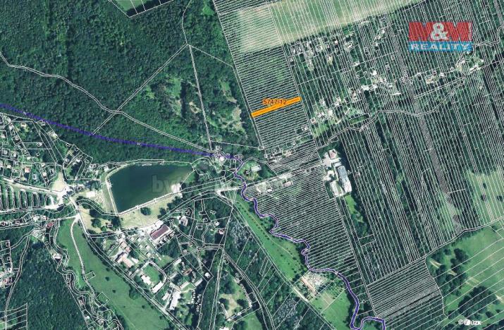 Prodej lesa, Kněždub, 953 m2