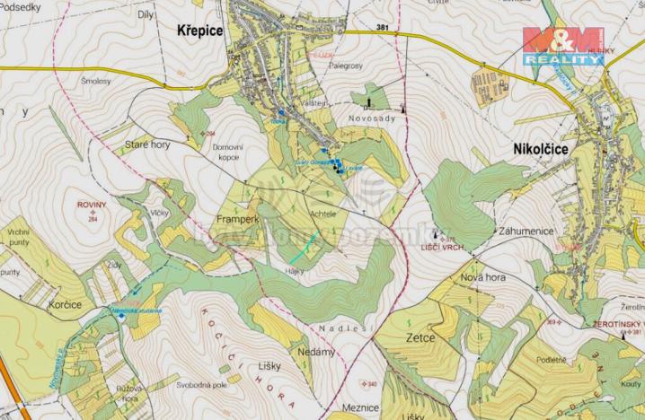 Prodej lesa, Křepice, 553 m2