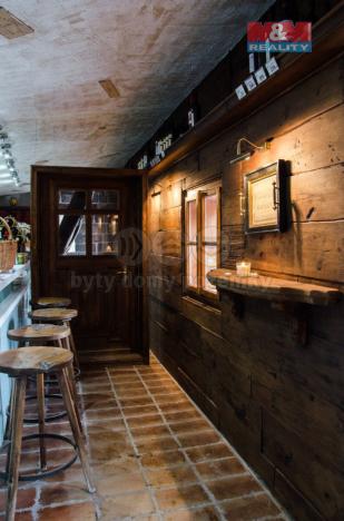 Prodej restaurace, Ostrava - Slezská Ostrava, Dědičná, 613 m2