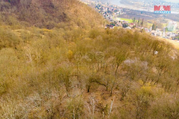 Prodej pozemku, Ústí nad Labem - Mojžíř, 3600 m2