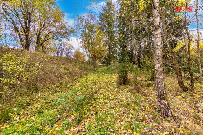 Prodej trvalého travního porostu, Rozvadov - Svatá Kateřina, 1487 m2
