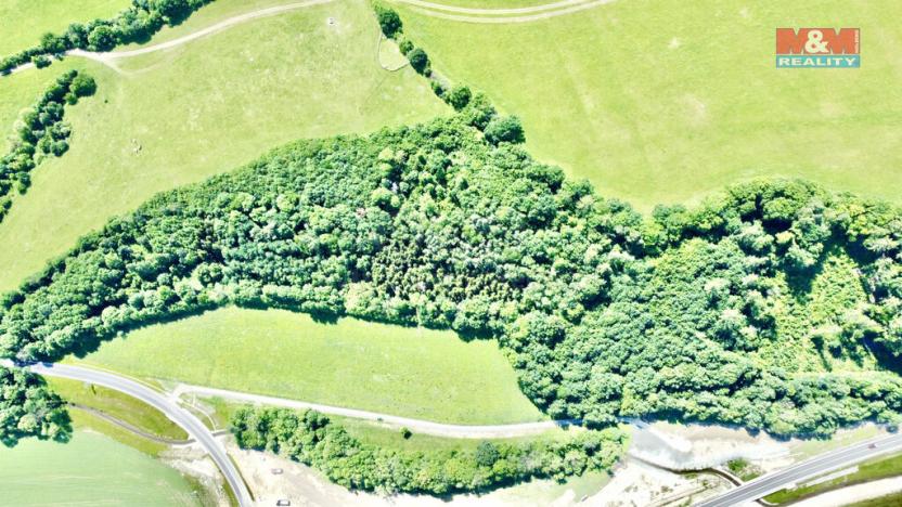 Prodej lesa, Vyšehoří, 12990 m2