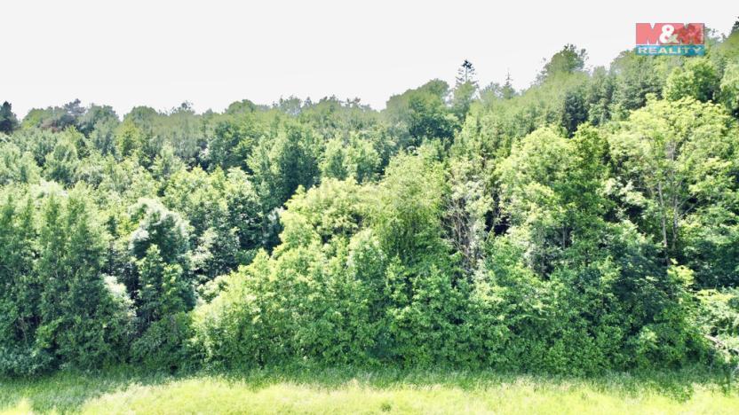 Prodej lesa, Vyšehoří, 12990 m2