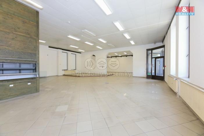 Pronájem obchodního prostoru, Staré Město, Brněnská, 607 m2