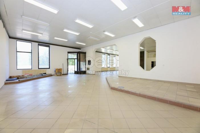Pronájem obchodního prostoru, Staré Město, Brněnská, 607 m2