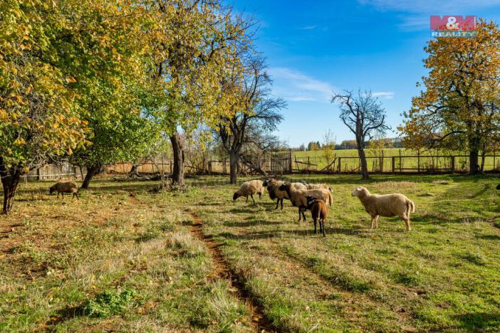 Prodej rodinného domu, Lesná, 80 m2