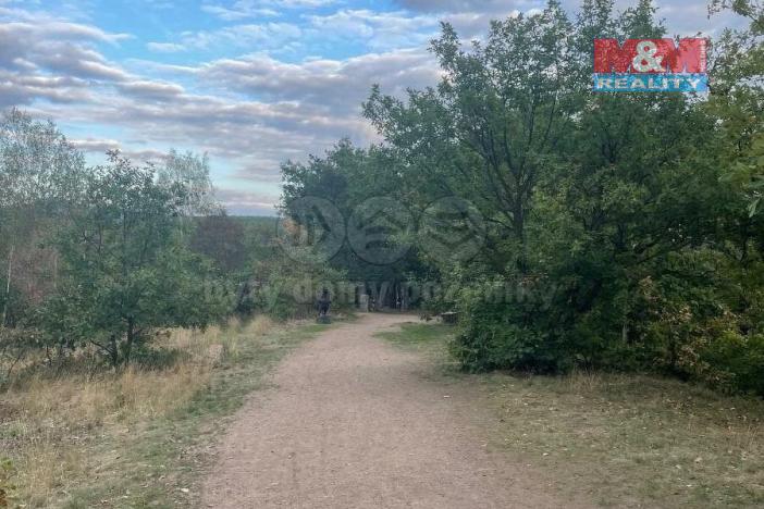 Prodej lesa, Bílina, 7458 m2