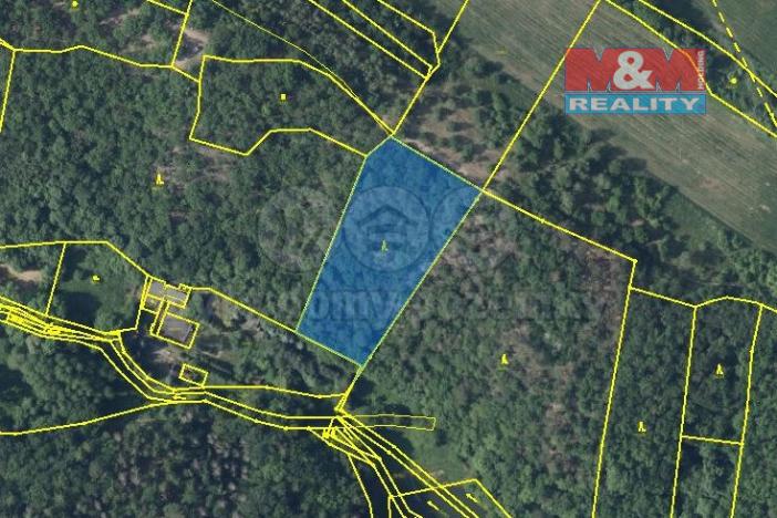 Prodej lesa, Bílina, 7458 m2