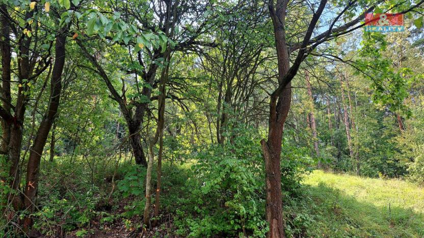 Prodej pozemku pro bydlení, Úštěk, 10875 m2