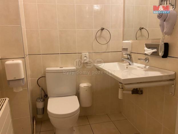 Pronájem bytu 4+kk, Plzeň - Vnitřní Město, Zbrojnická, 110 m2