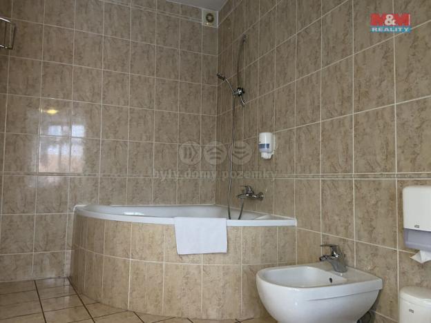 Pronájem bytu 4+kk, Plzeň - Vnitřní Město, Zbrojnická, 110 m2